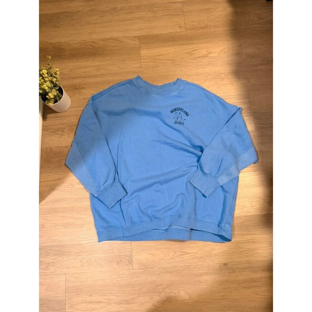 Aerie pull over sweatshirt